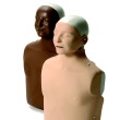 Manikins