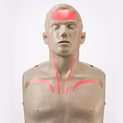 Brayden CPR Manikin Advanced (With Red Illumination LEDs) BraydenManikinRed